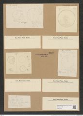 Coscinodiscus bioculatus Grun. (de-Toni-Nr.: Genus 202, Species 4924) Zeichnungen Sammlung Grunow Nr. 8695 (NHMW-BOT-W0378116)